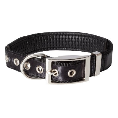 Hundehalsband Borussia Mönchengladbach Halsband für Hunde
