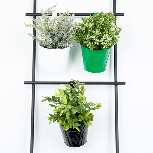 Blumentopf 3er Set Borussia Mönchengladbach